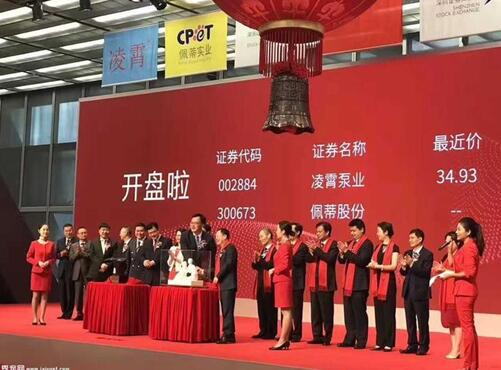 佩蒂股份上市，变化中的学习，成就梦想的力量之路