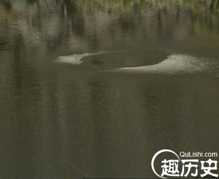 揭秘云南水怪真相，展现高科技产品的崭新魅力