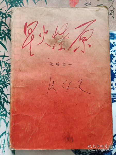 燎原最新篇章，引领科技新纪元，感受未来生活之美体验