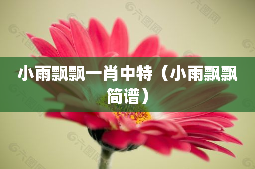 ＂2024年正版免费天天开彩＂的：定性解析明确评估_美学版9.92