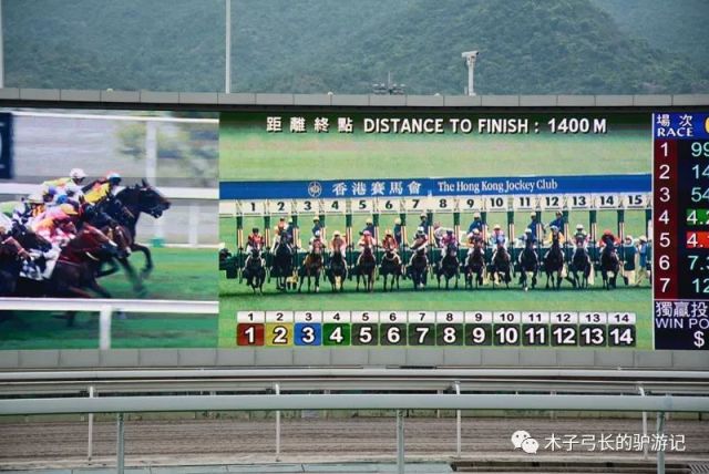 ＂2024香港赛马全年免费资料＂的：决策支持方案_运动版5.58