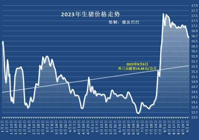 生猪行情走势深度解析，探寻绿色产业与内心平静的交融之旅