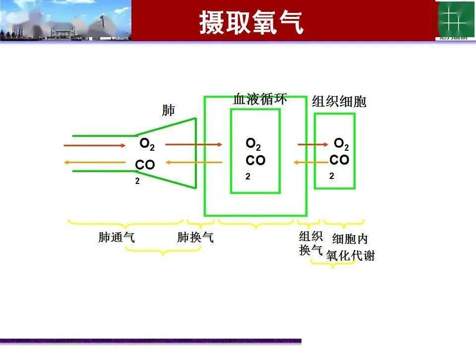 最新氧气技术，革新医疗与工业领域的核心动力