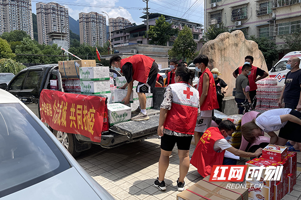 湘西最新疫情情况综述，疫情动态与论述分析