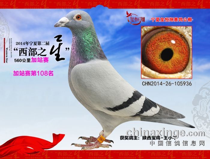 长安公棚最新动态，发展、影响及我的观点分析