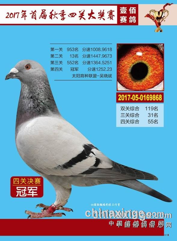 长安公棚最新动态，发展、影响及我的观点分析