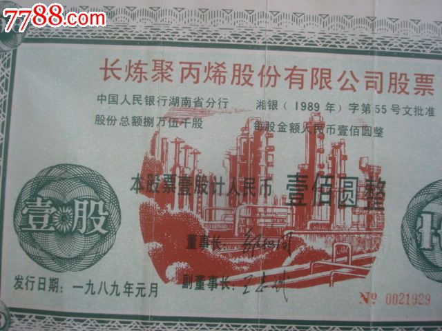 中国嘉陵股票，股市小达人的日常趣事探索