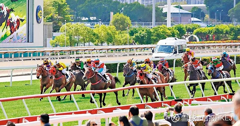 2024香港赛马全年免费资料,安全设计解析说明法_紧凑版18.451