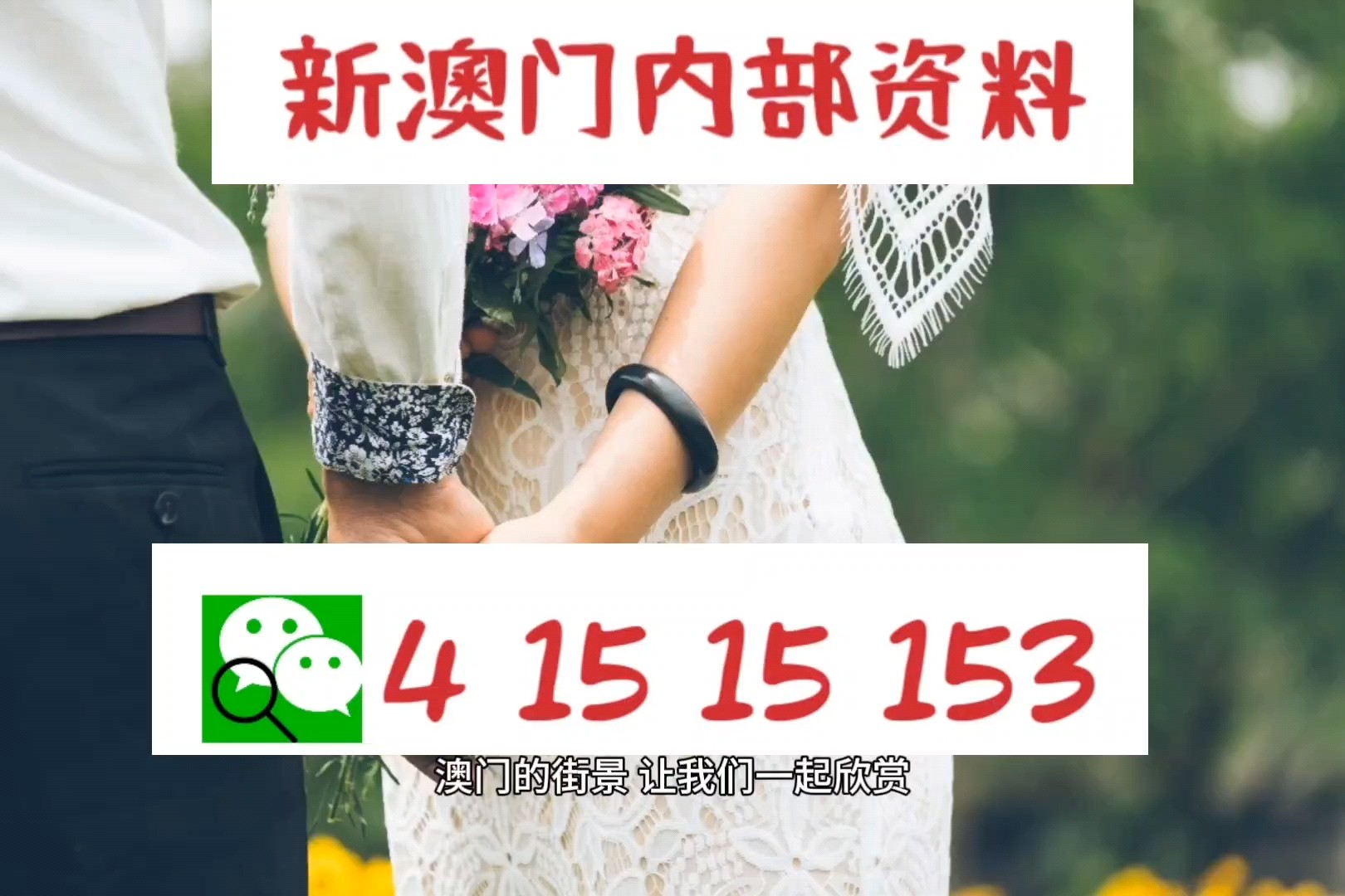 337期澳门今天晚上开什么码,数据导向程序解析_环境版80.252