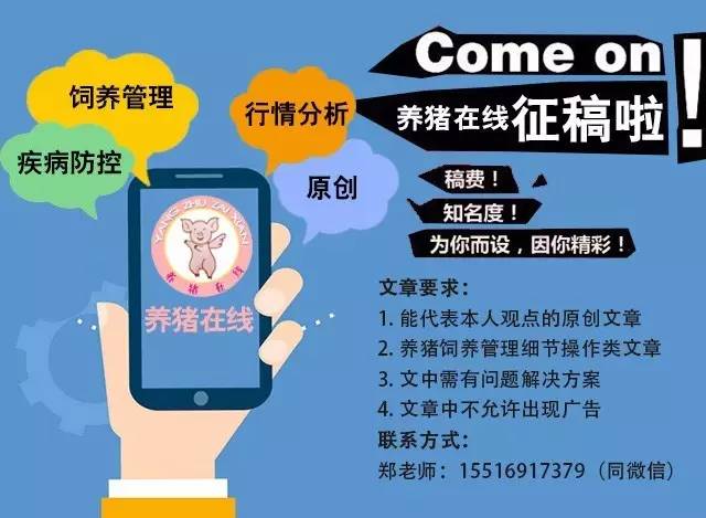 7777888888精准管家婆,快速产出解决方案_视频版18.309