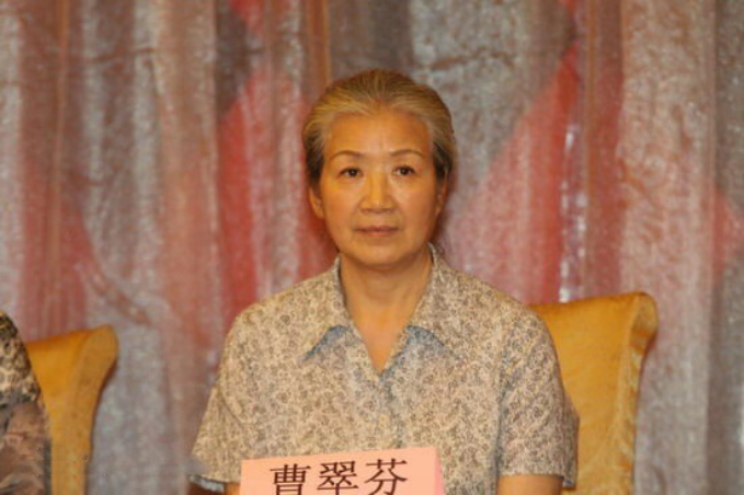 电视剧婆婆演员表及角色全面解读，婆婆角色的深度剖析