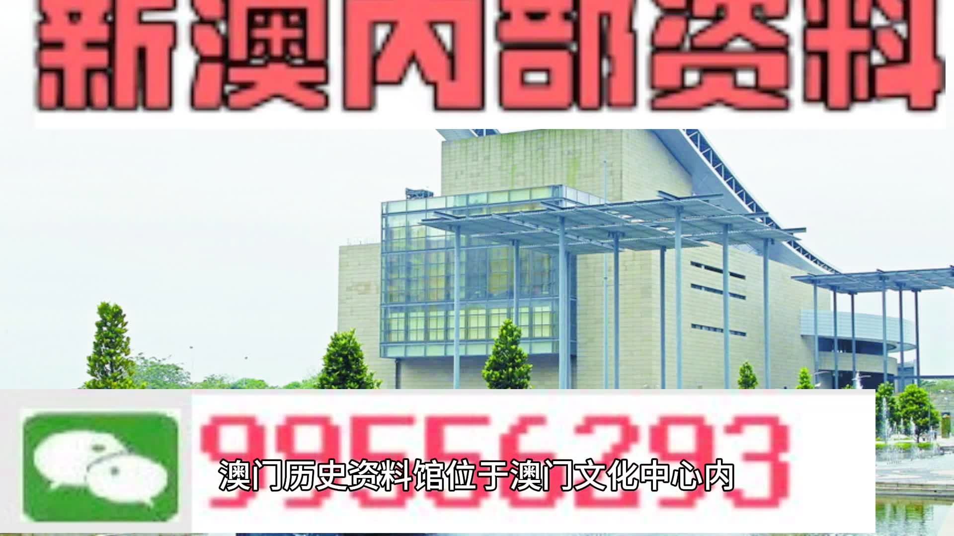 新澳新澳门正版资料,专家解说解释定义_定义版99.955
