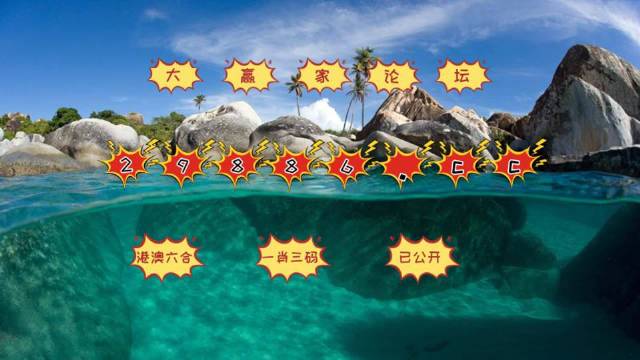 新澳门六开彩天天开,WWW服务_沉浸版46.338