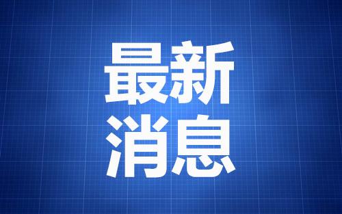 最新政策探访，小巷独特风味小店的崭新篇章