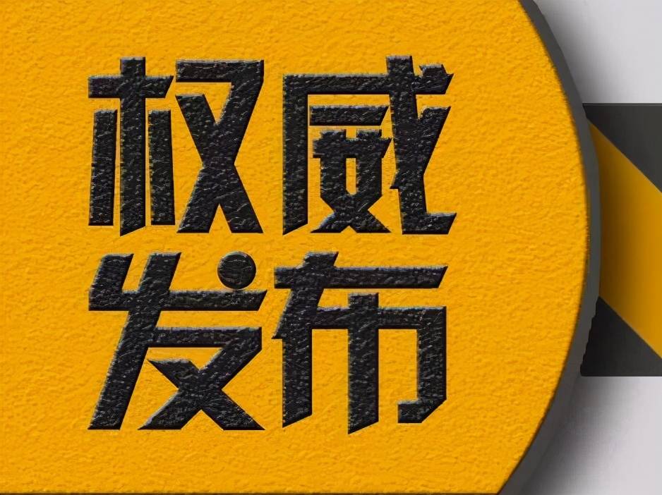 最新政策探访，小巷独特风味小店的崭新篇章