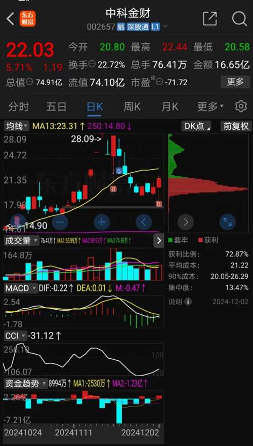 中科金财股票深度解析，揭示投资价值与前景分析