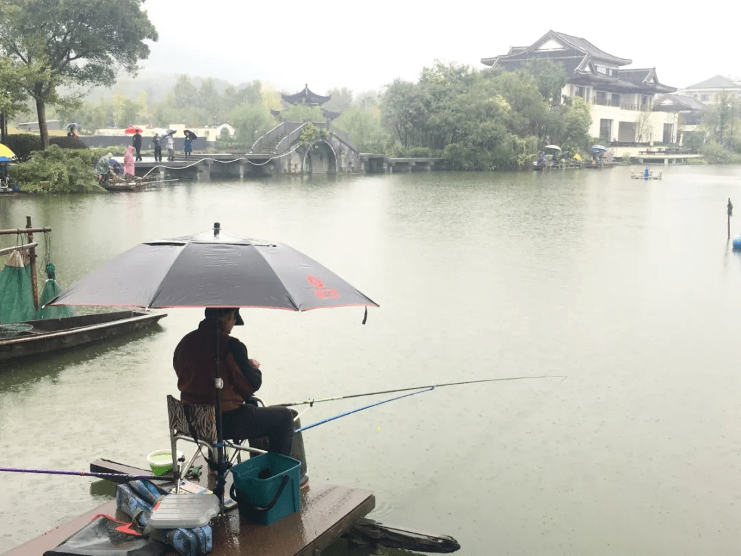 杭州钓鱼比赛,杭州钓鱼比赛的多元视角分析