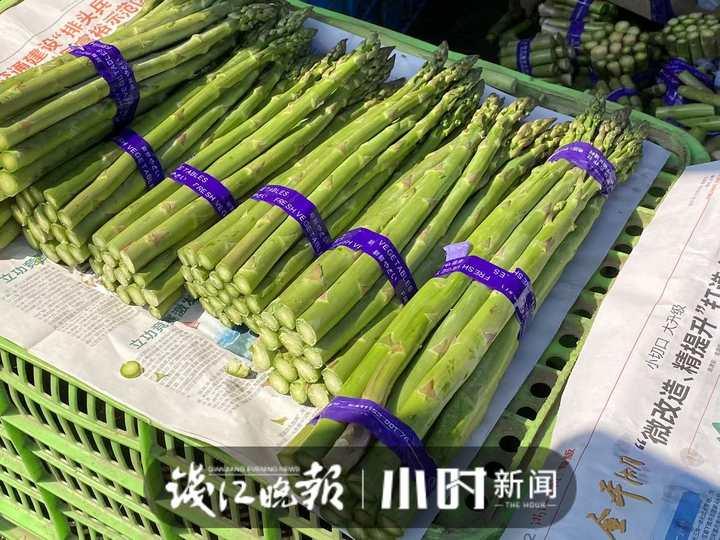 科技赋能，最新芹菜价格与新鲜度掌控全攻略