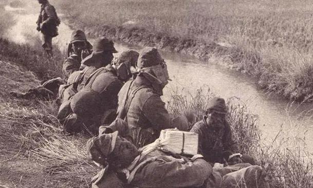 丛林追击电影,时代印记与文化回响的视听盛宴