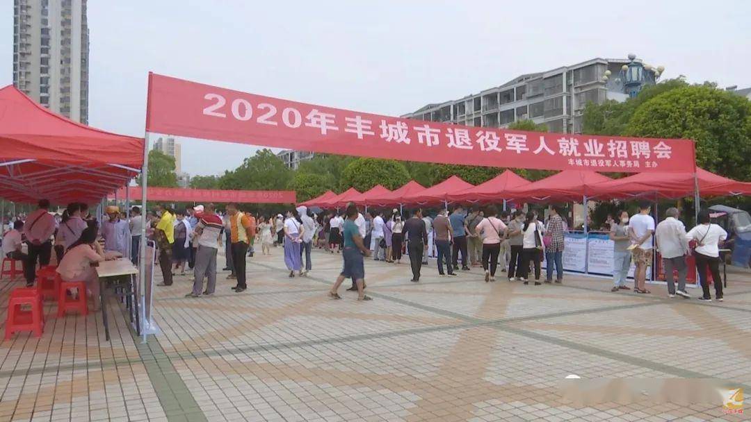 丰城招聘信息，开启职场人生新篇章，学习变化成就自信与成就之路