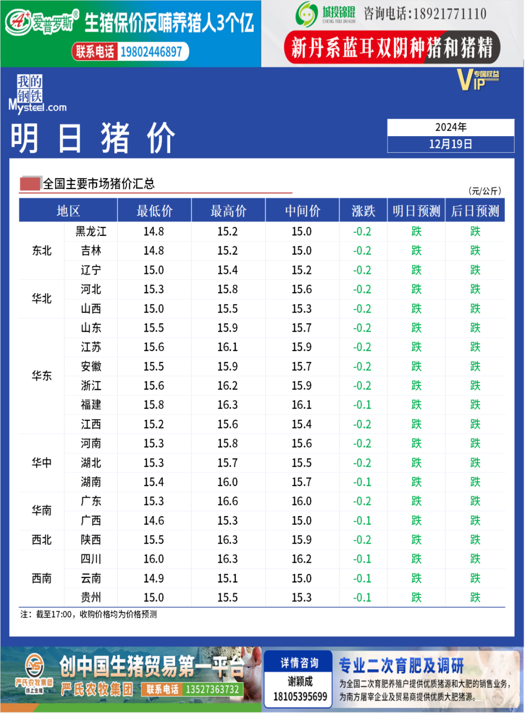 河南洛阳今日生猪价格与探寻自然美景之旅，内心平静的征途