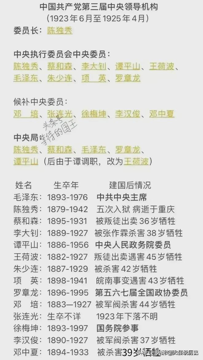 中央最新领导干部名单详解，获取步骤指南（初学者与进阶用户皆适用）