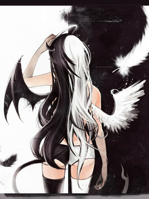 天使与恶魔动漫，日常温馨趣事探索