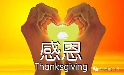 最新感恩，友情之旅的温馨与欢笑