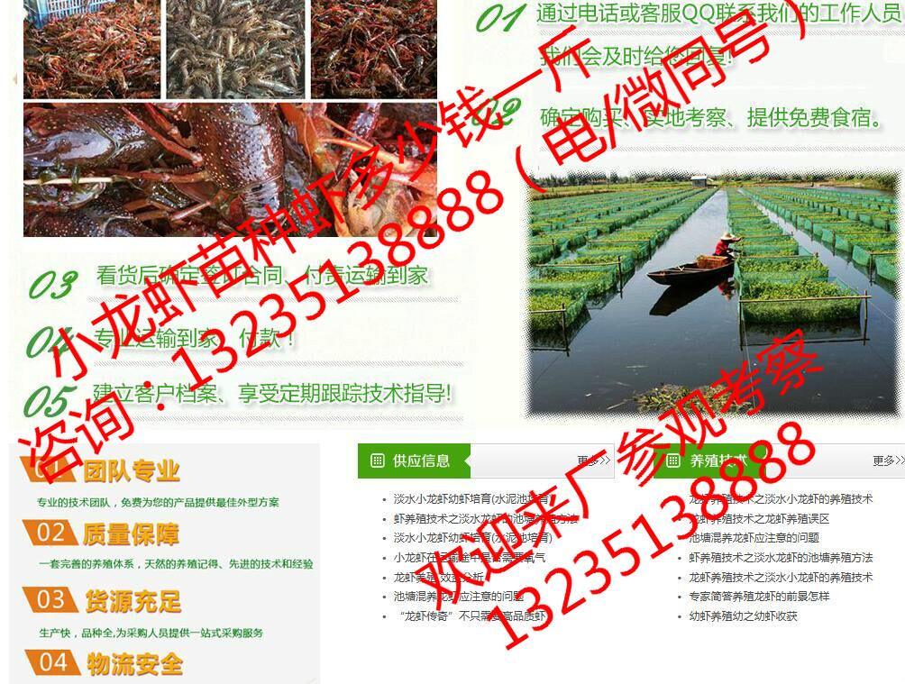 最新虾苗市场价格,最新虾苗市场价格