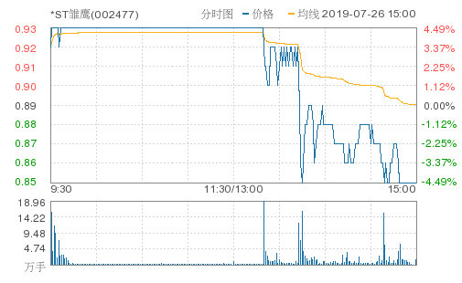 雏鹰股票，探究潜力与价值分析