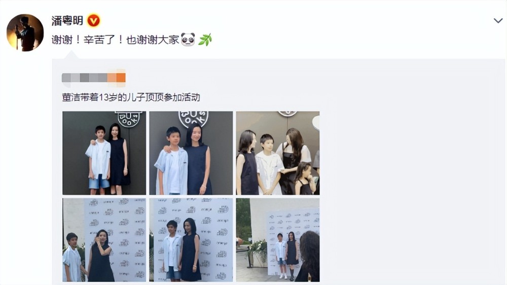 董洁顶顶最新动态,董洁顶顶最新动态，小巷中的隐藏宝藏