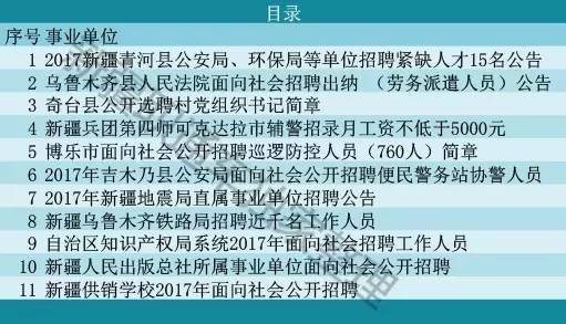 新疆最新招聘信息,新疆最新招聘信息，启程职场，成就梦想的新疆篇章
