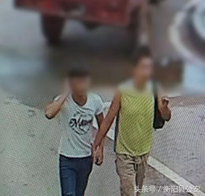 衡阳司机招聘信息,衡阳司机招聘信息，求职与招聘的详细步骤指南