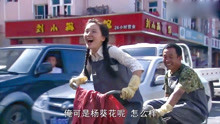 杨葵花进城电视剧，巷弄深处的特色小店故事