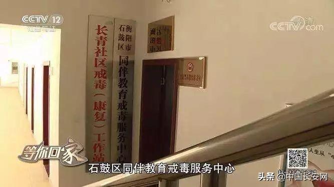衡阳的明星，星光闪耀与文化融合之路