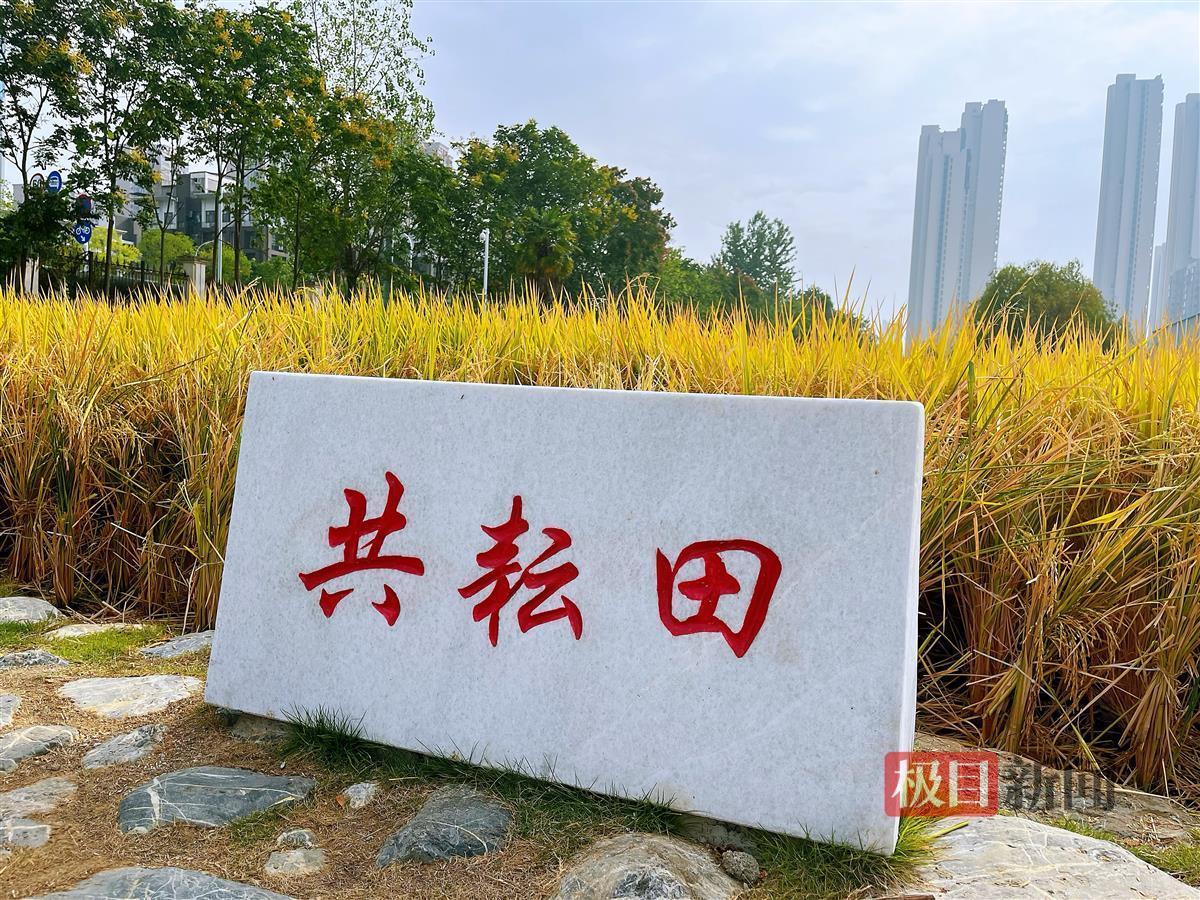 武汉盛隆电气招聘信息，启航你的未来职业之旅！