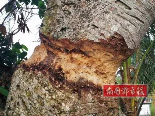 琼海土地出售信息更新及其观点论述