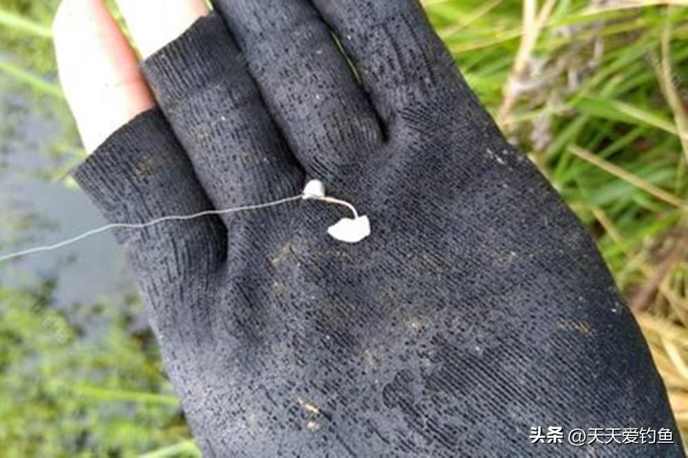 丁香久草最新地址，时间与记忆的交织叙述