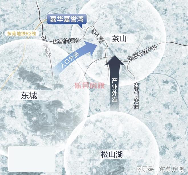 东莞桑茶快线最新方案揭秘，小巷中的隐藏宝藏，味蕾冒险之旅启动！