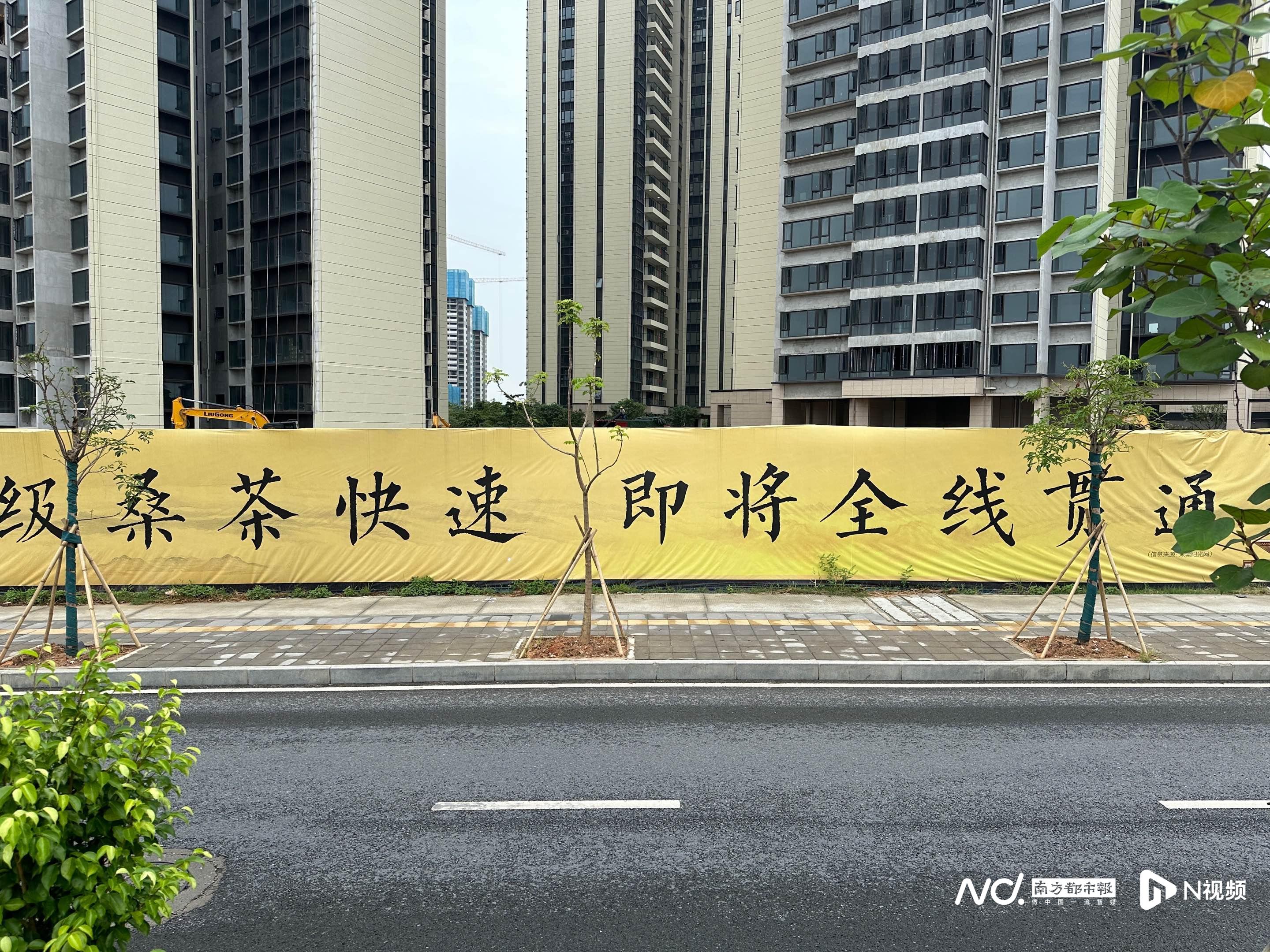 东莞桑茶快线最新方案揭秘，小巷中的隐藏宝藏，味蕾冒险之旅启动！