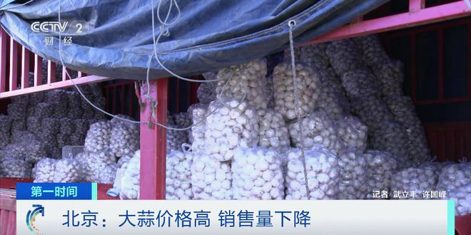 历年大蒜行情变迁，成长与自信的力量见证之路