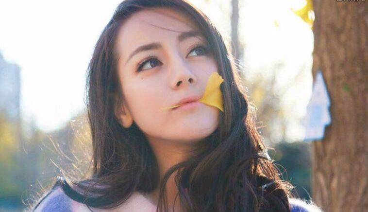 迪丽热巴主演电视剧，星光璀璨的角色探索之旅