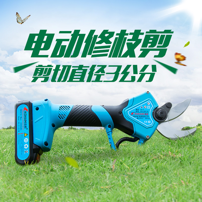 电动剪刀价格解析，市场分析与个人观点分享