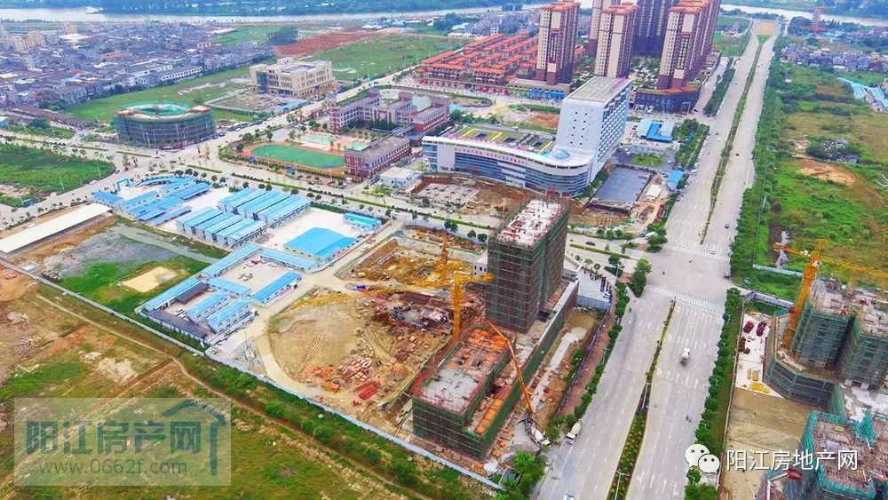 阳江最新感染情况，理解、应对与科普知识普及
