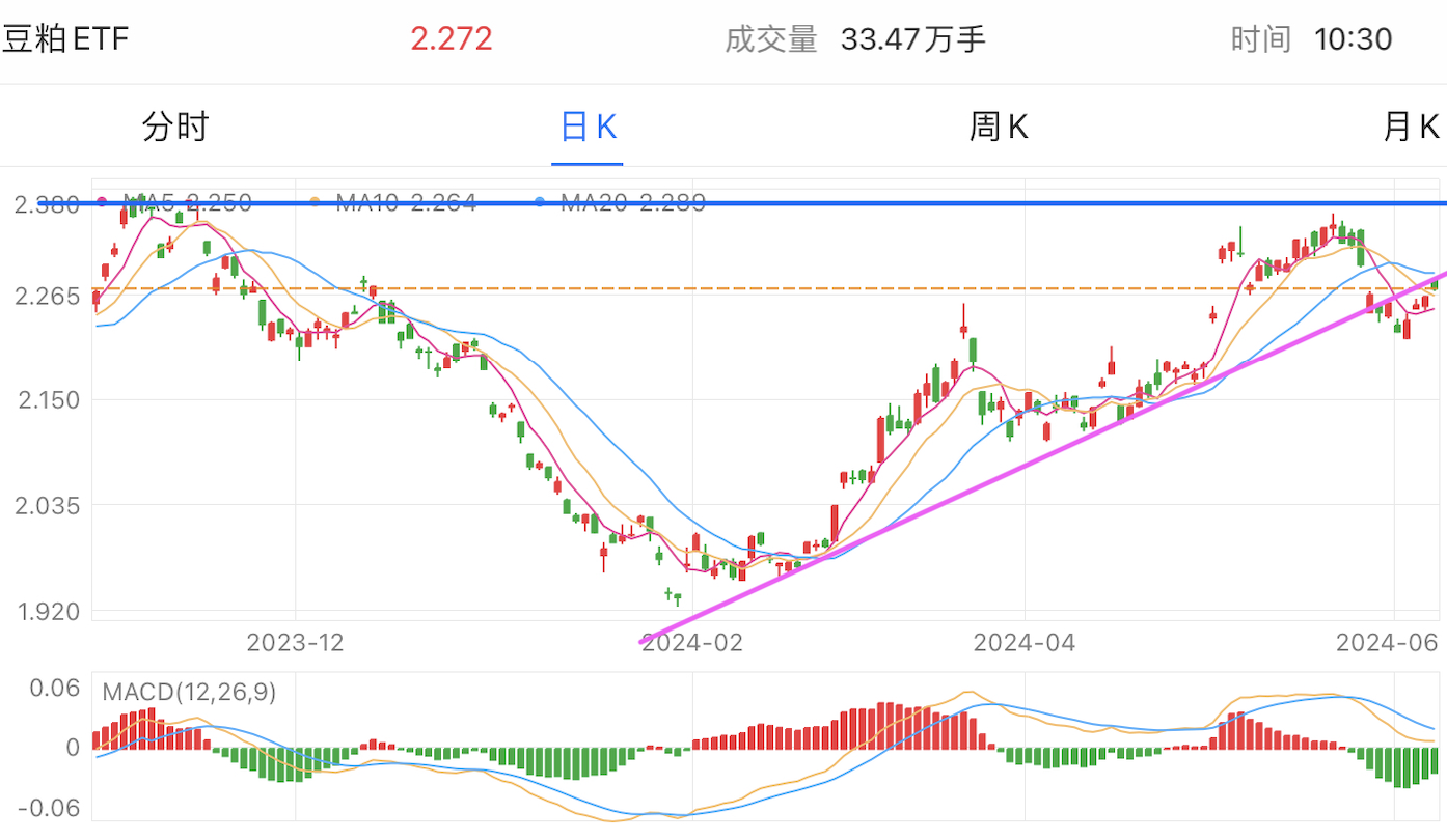 豆粕股票投资热点深度解析