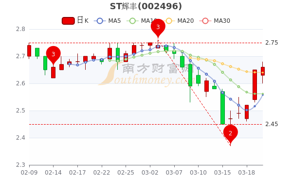 ST辉丰股票，时代印记与股市变迁的交织