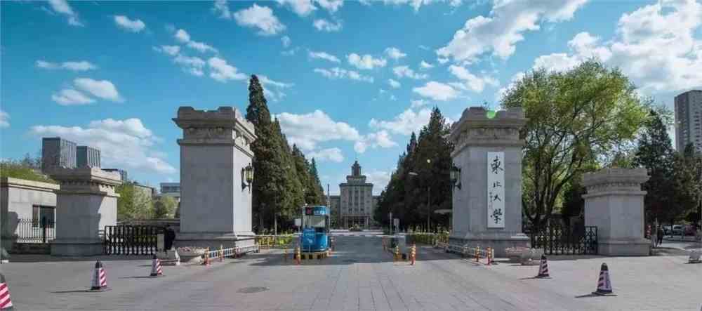 东北大学合并最新进展，校园内的友情成长与融合故事