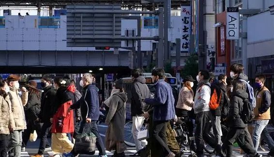 日本最新动态概览，日常温馨趣事
