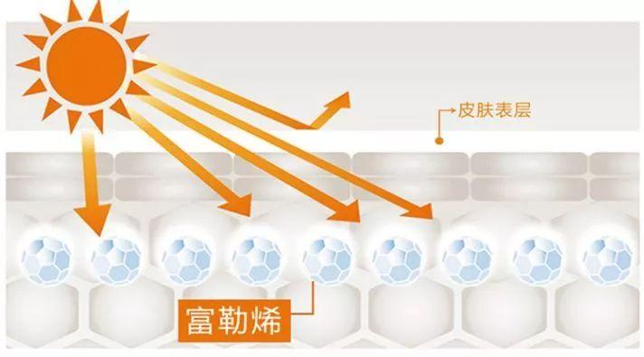 辅酶Q10的价格变迁，历史地位与特定领域影响