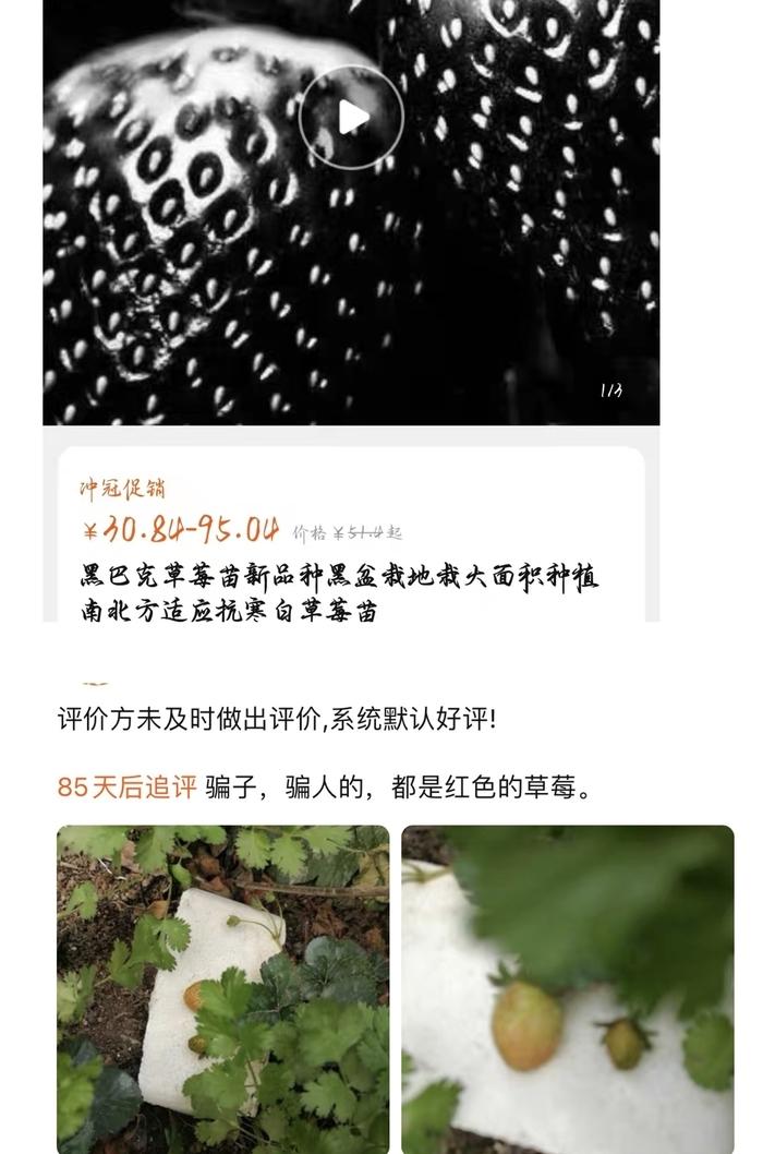 最新冷库洋葱市场价格解析，市场走势深度探讨